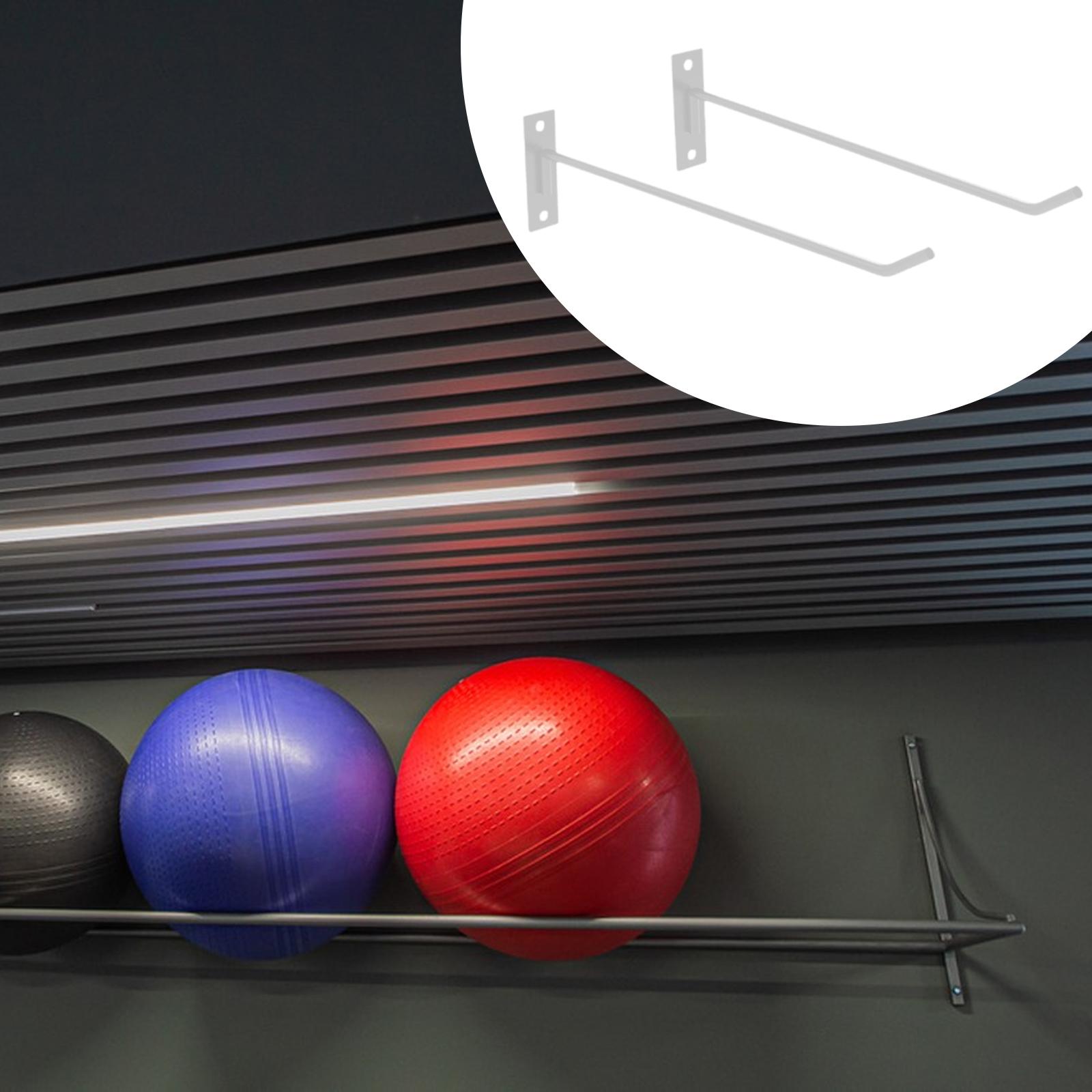 Exercise Ball Holder Space Sav - Bosu Ball Balance review and price