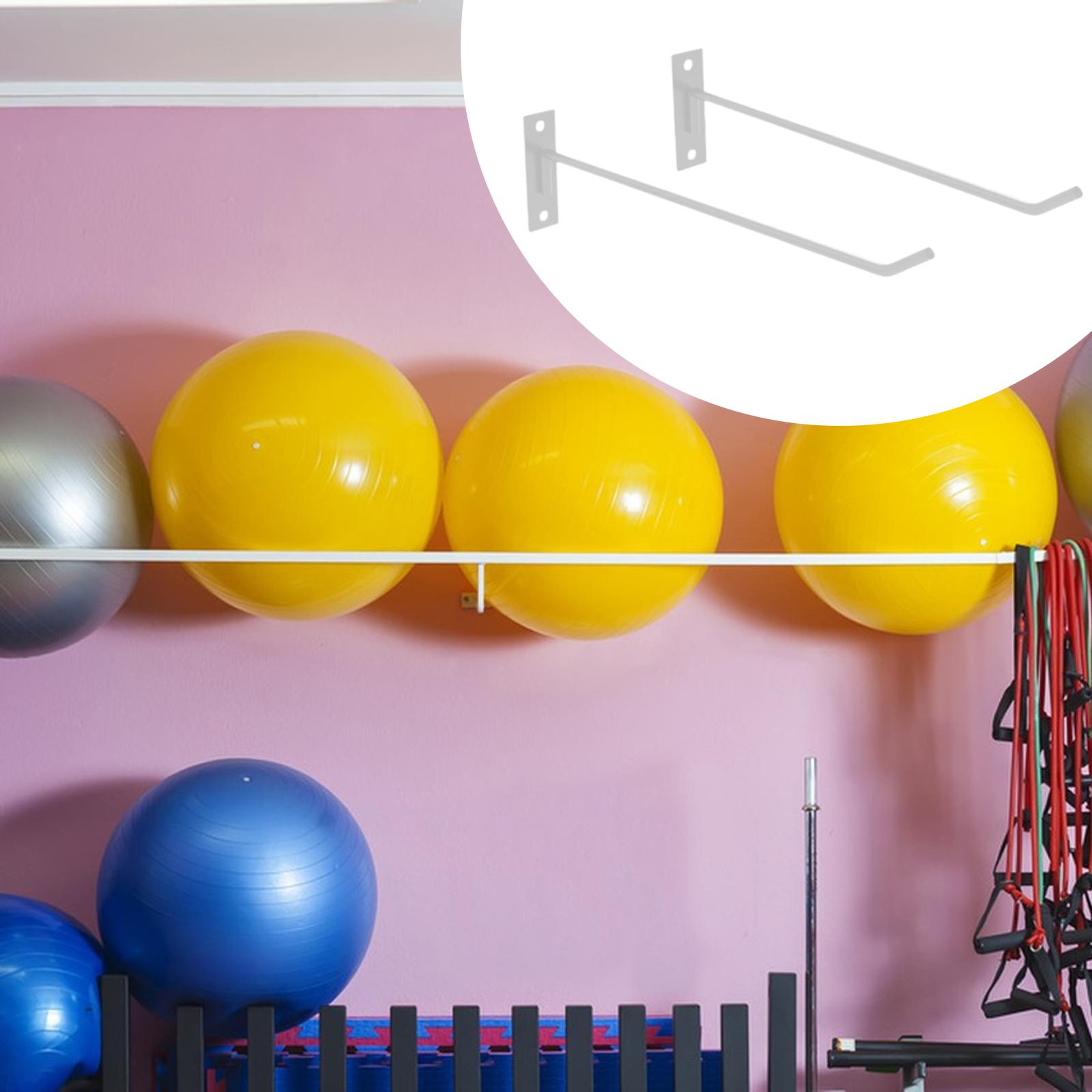 Exercise Ball Holder Space Sav - Bosu Ball Balance review and price